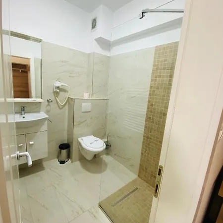 招待所 Pensiunea Elisei 蒂米什瓦拉