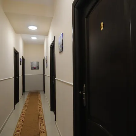Pensiunea Elisei Πανσιόν