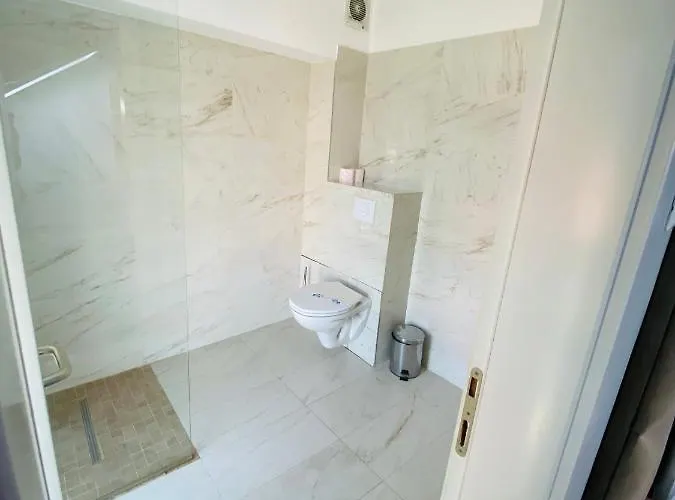 Pensiunea Elisei 3* Timişoara