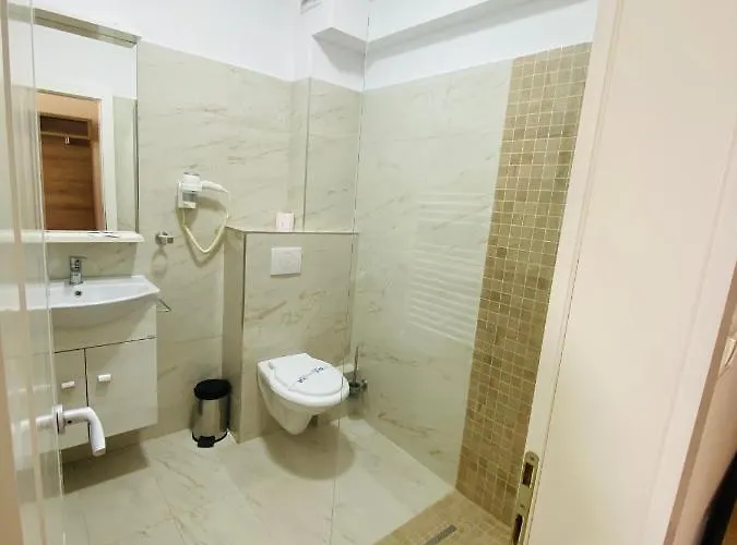 Pensionat Pensiunea Elisei Timişoara