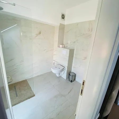 Pensiunea Elisei 3* Timişoara