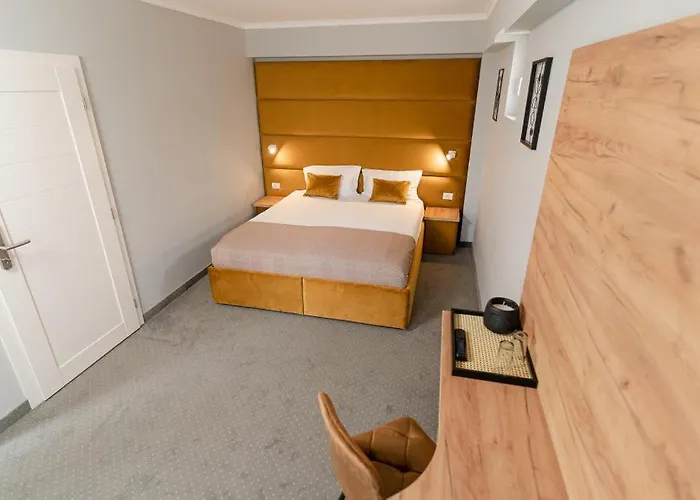 Гостевой дом Pensiunea Elisei