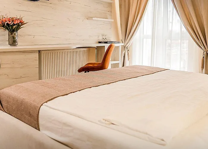 Pensiunea Elisei 3* Тимишоара