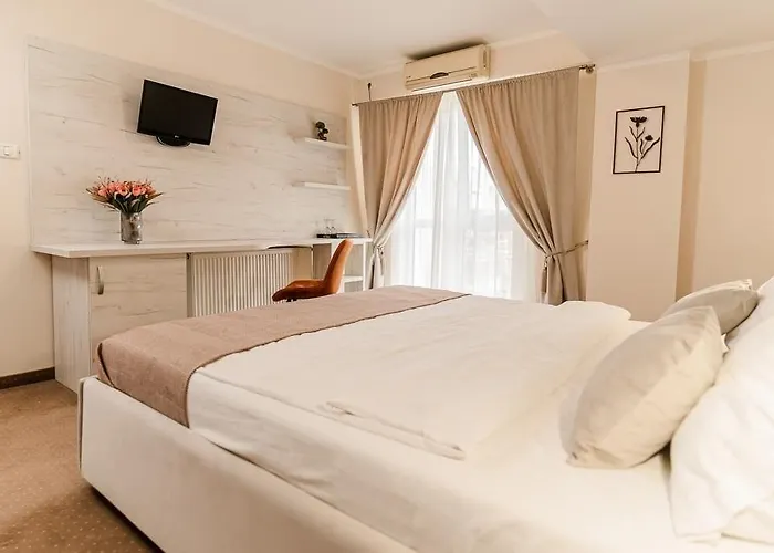 Pensiunea Elisei 3* Тимишоара