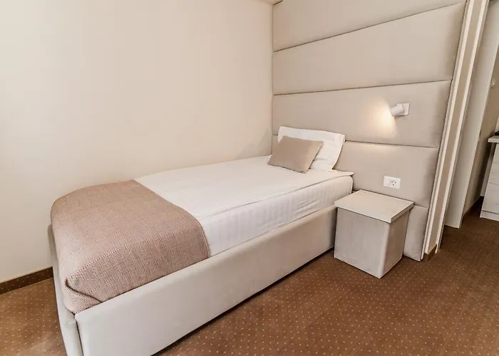 Pensiunea Elisei 3* Тимишоара